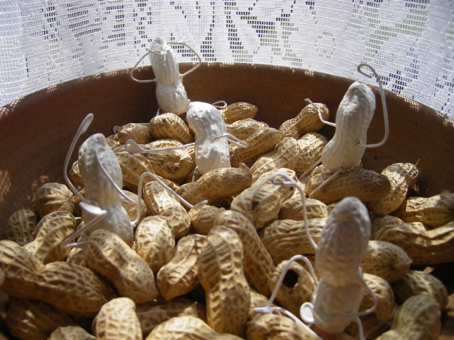keiko-ahner-.peanuts-in-peanuts.jpg