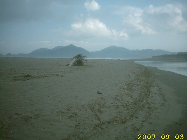 nagahama-beach-lonely-log.jpg